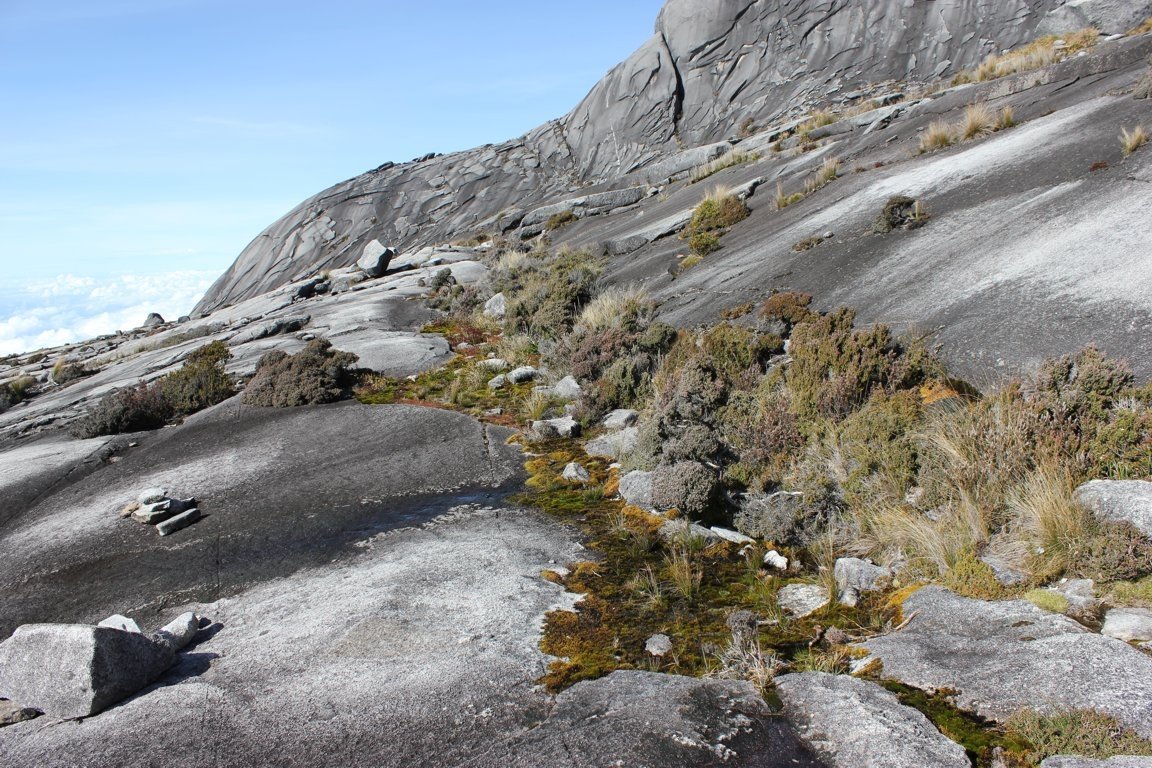 Mt Kinabalu