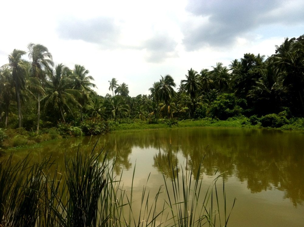 Pulau Ubin