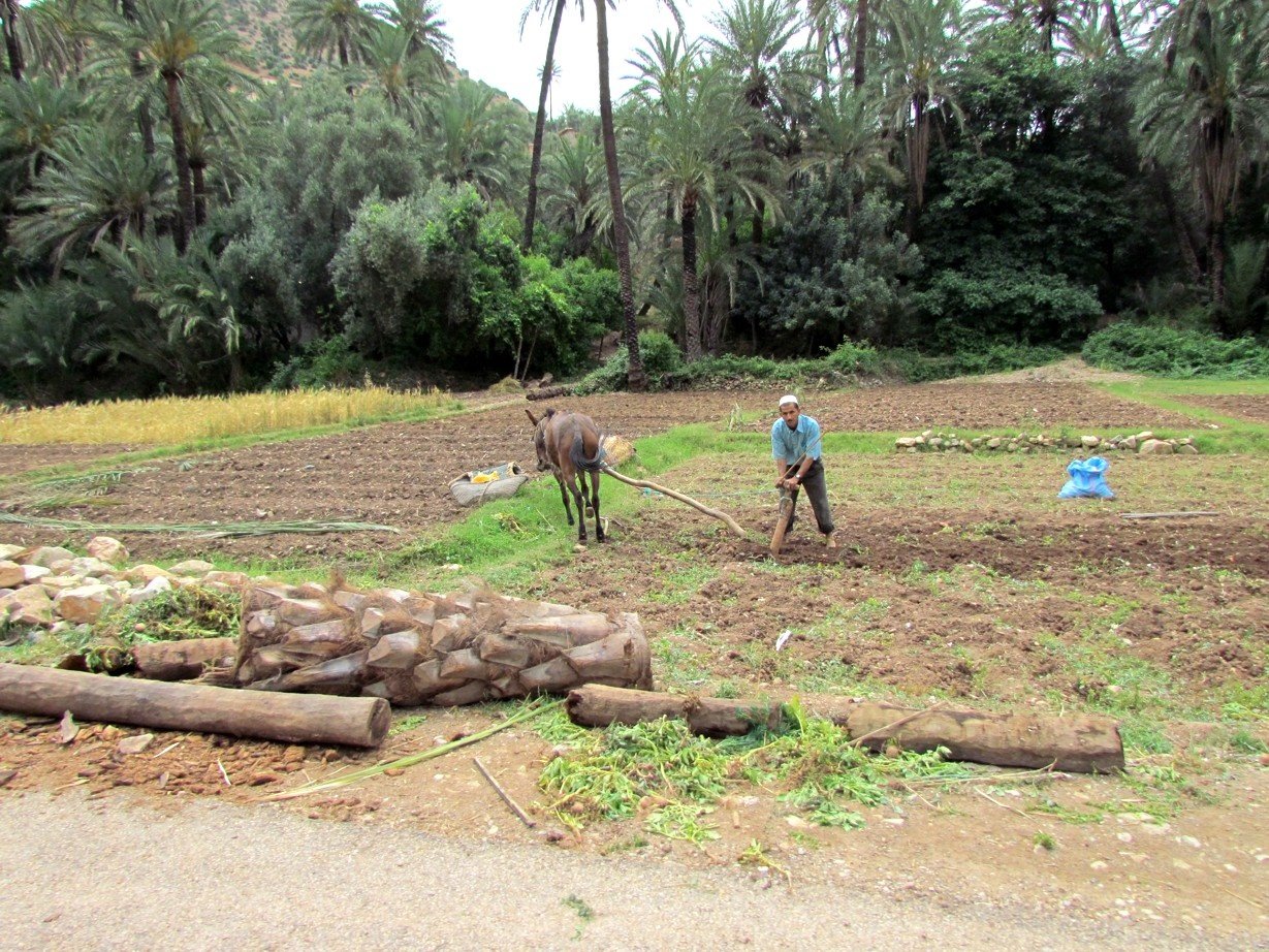 Rural area