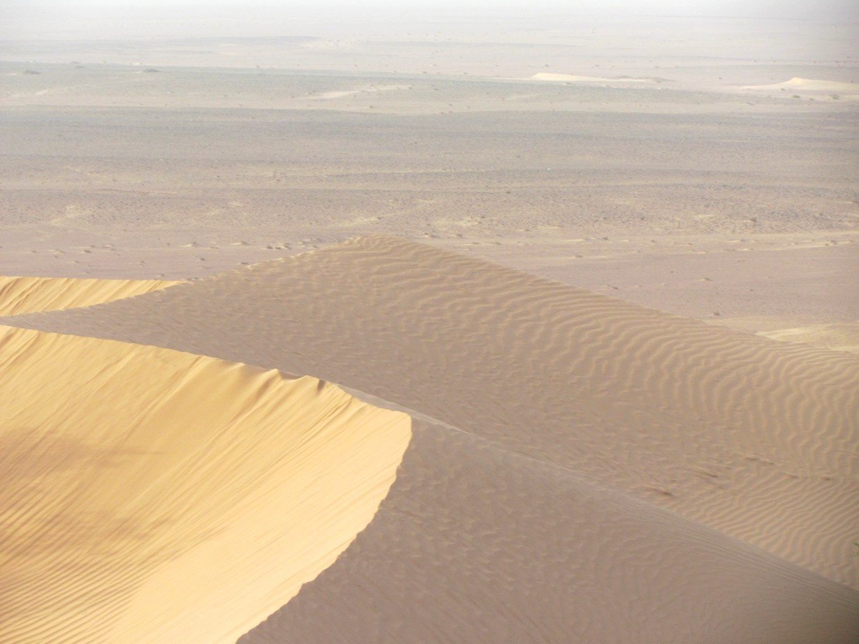 Sahara dunes