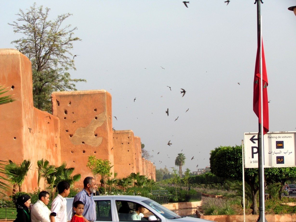 Walls of Marrakesh