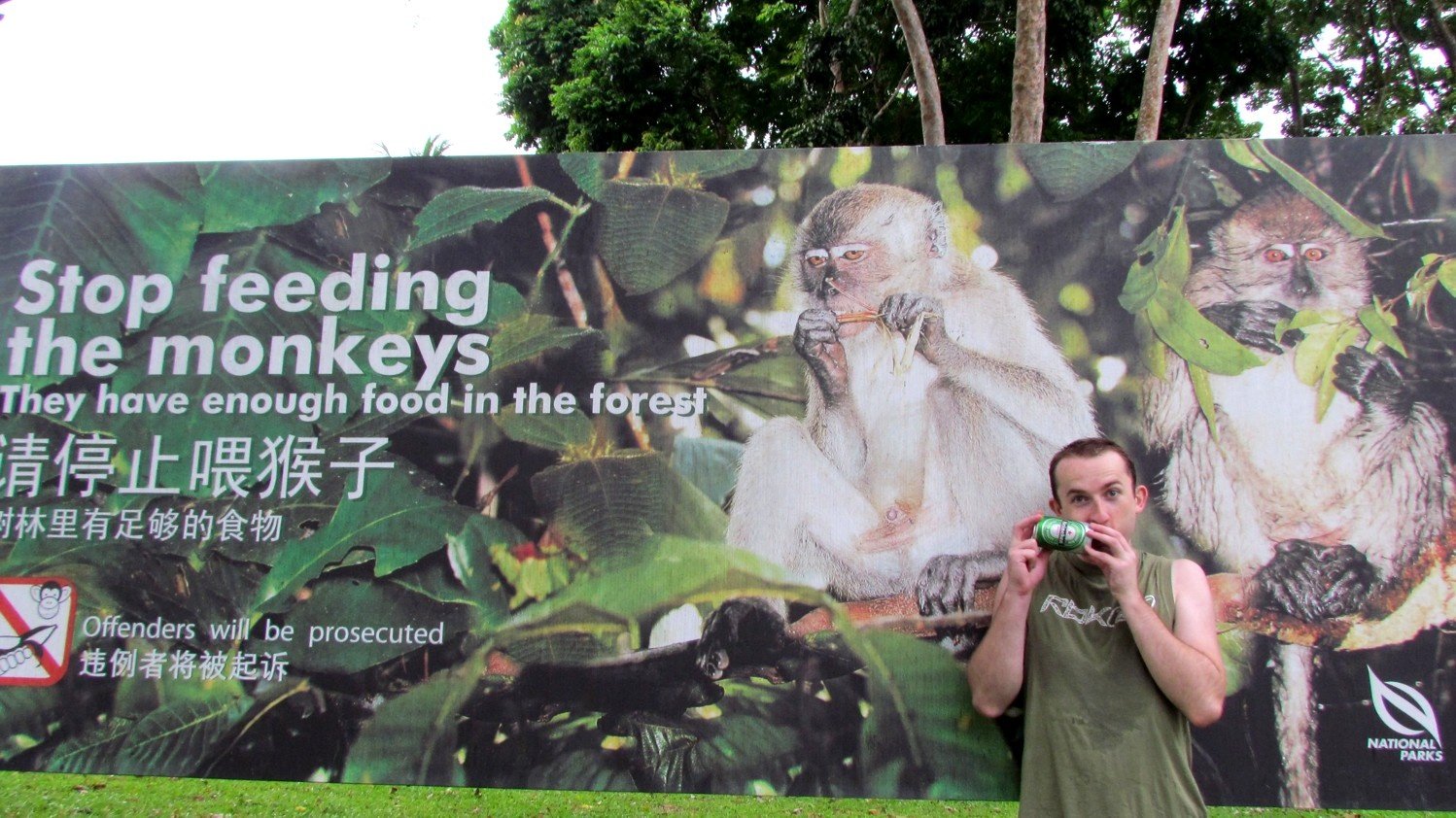 Stop feeding the monkeys
