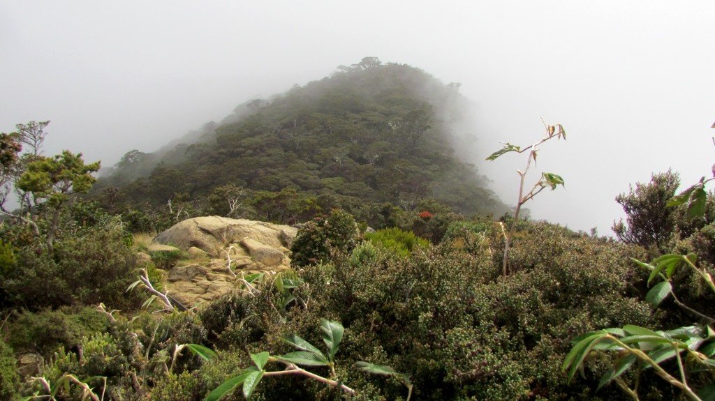 Mount Kinabalu