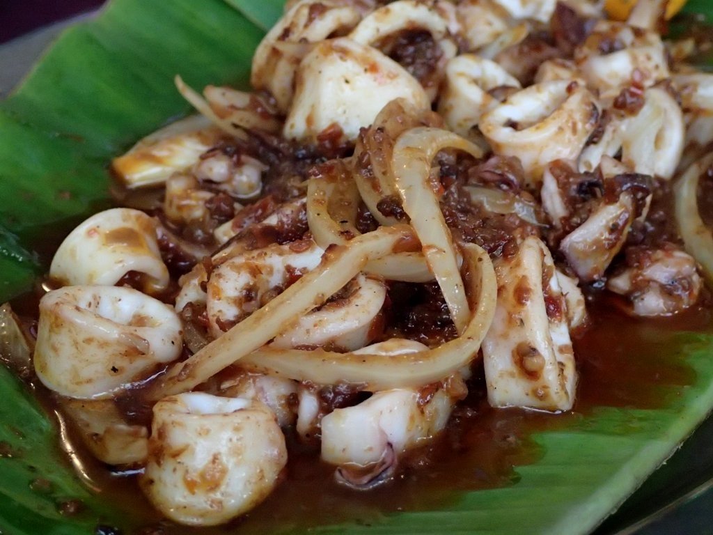 Sotong