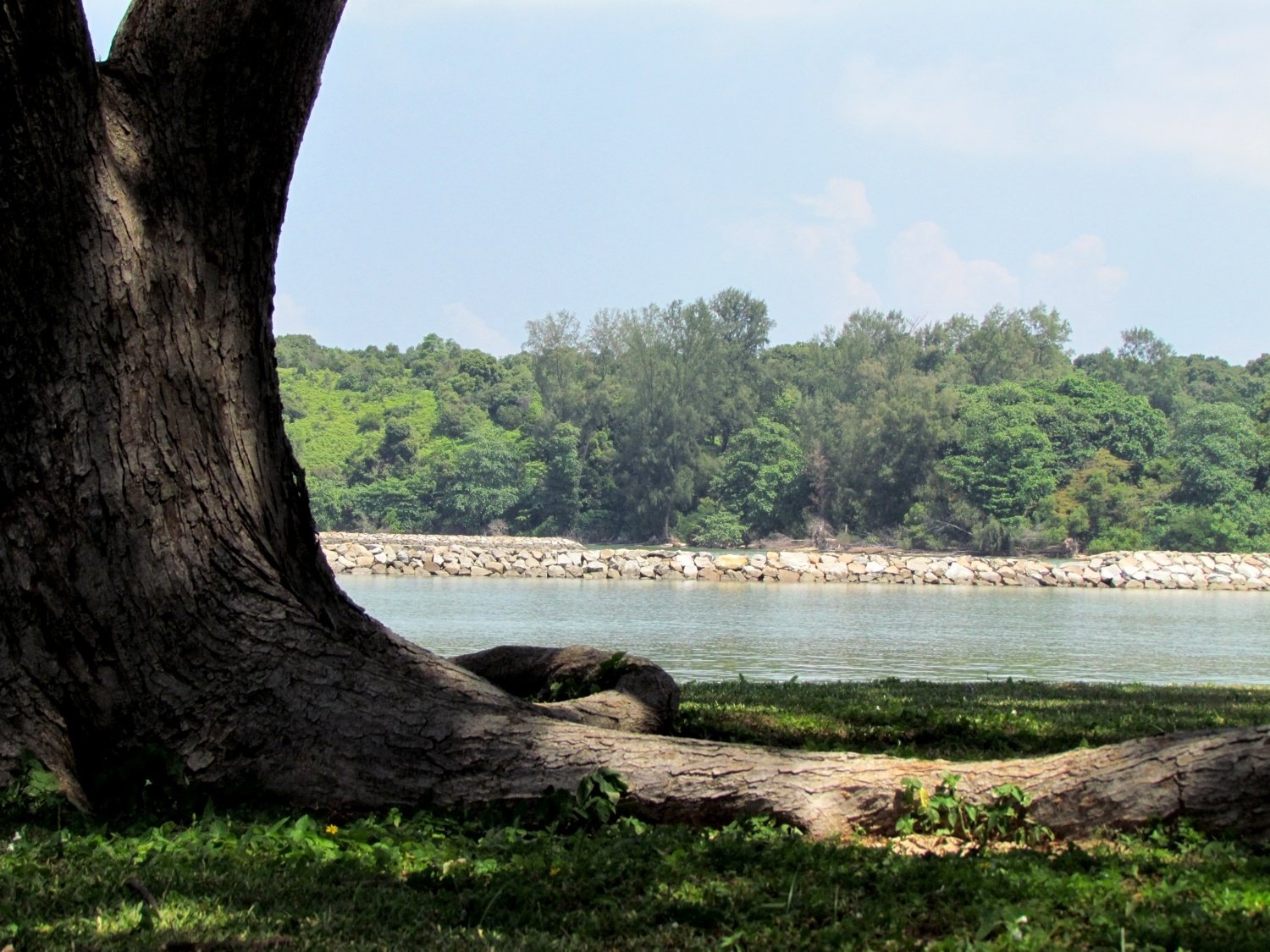 Kusu Island