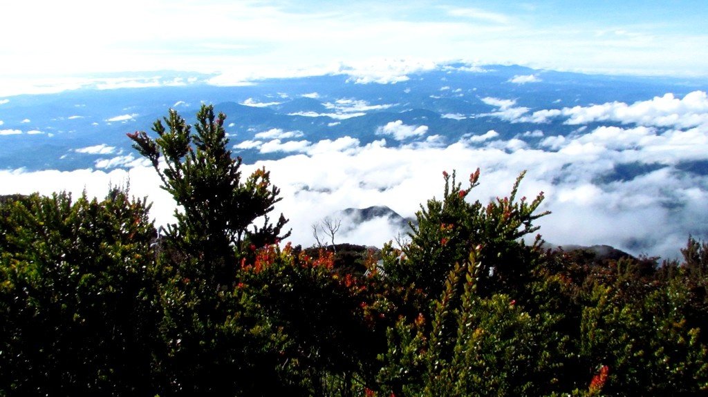 Above the clouds