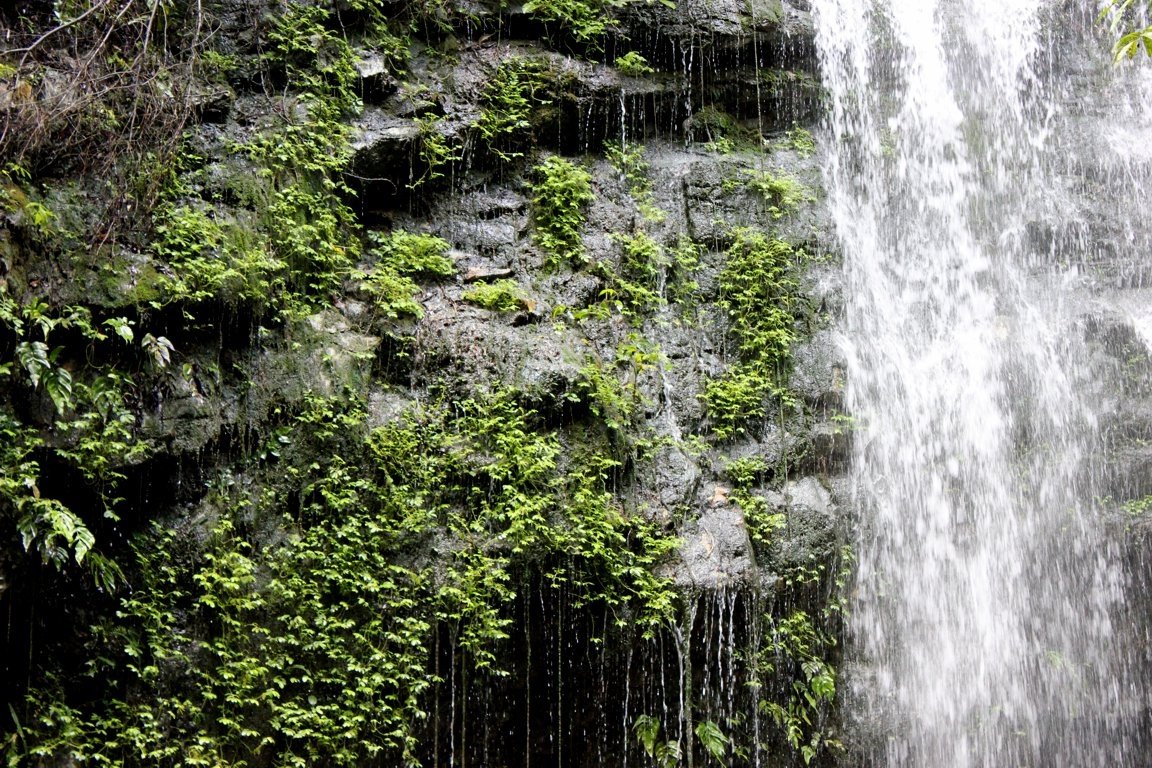 Paku Waterfall