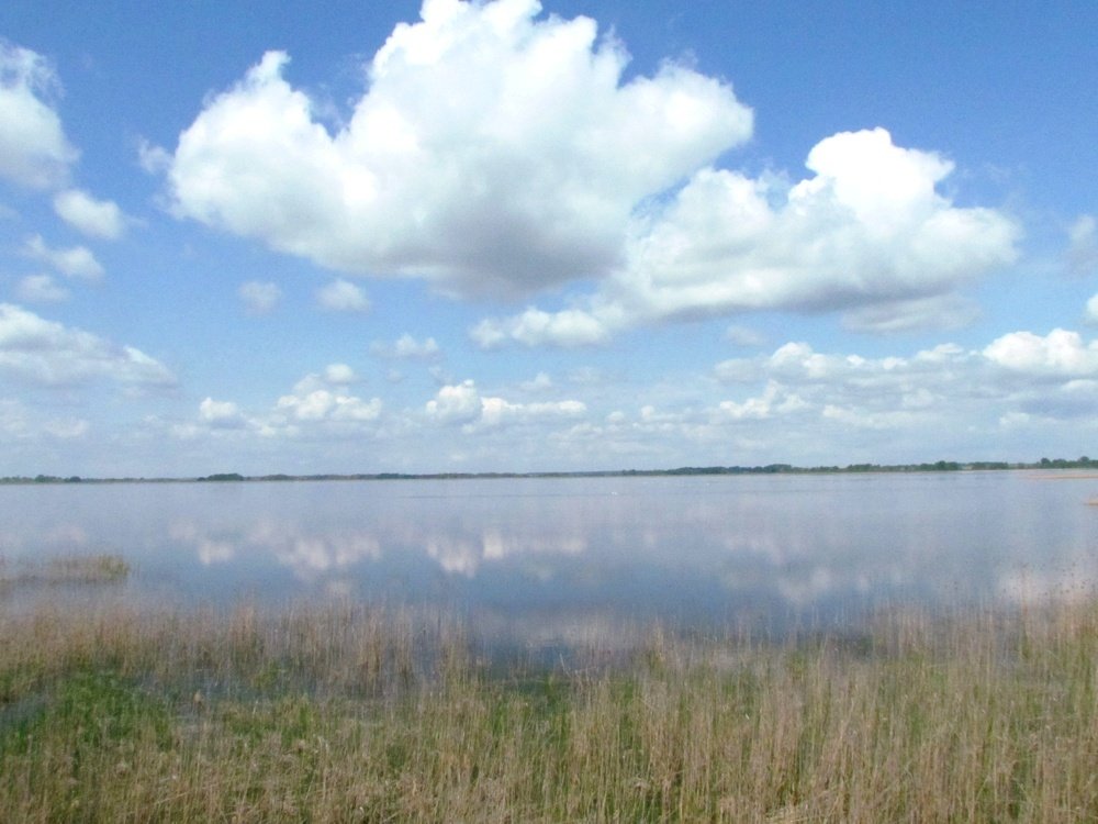 Łuknajno Lake