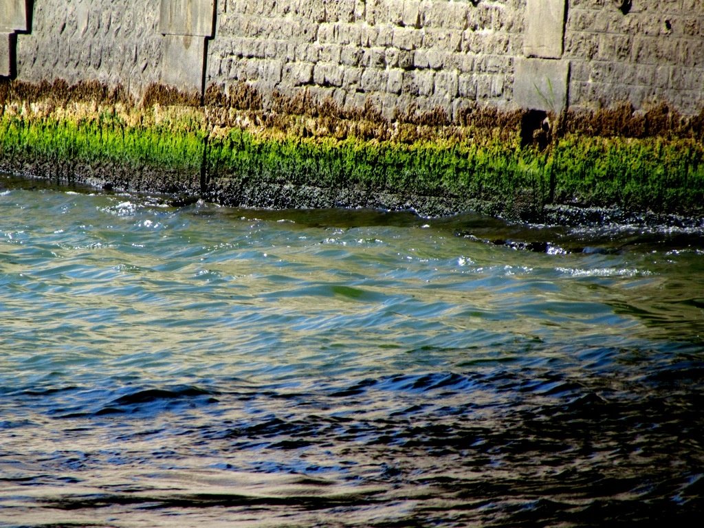 Rainbow in La Seine