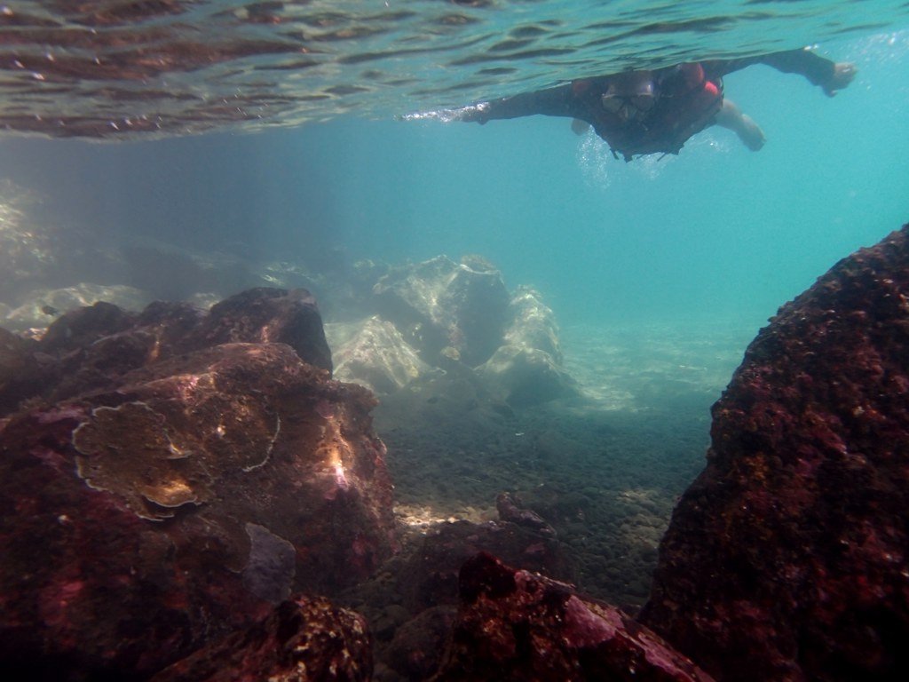 Snorkeling tourist