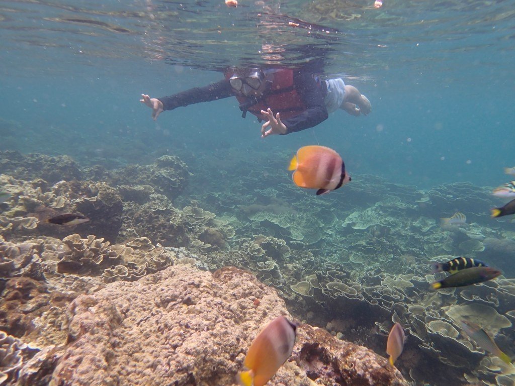 Krakatau snorkeling #8