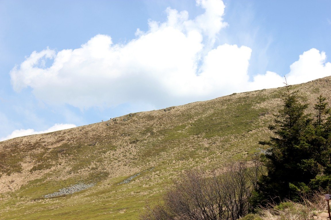 Bieszczady