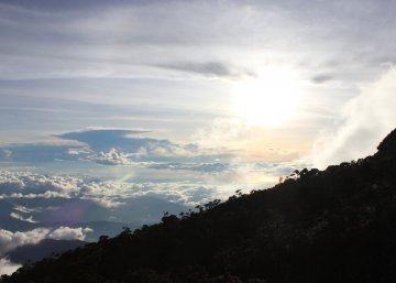 Above the clouds