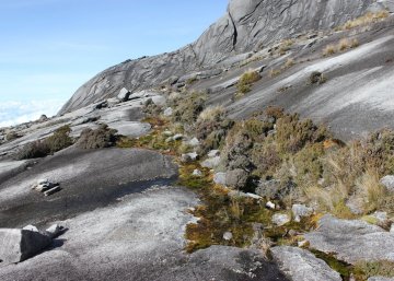 Mt Kinabalu