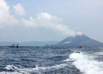 Fishing boats