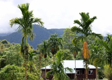 Mulu Airport