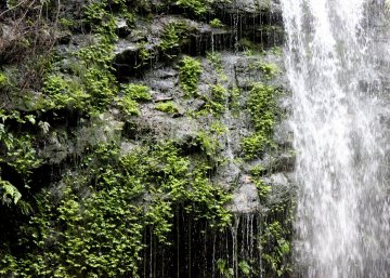 Paku Waterfall