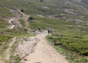 Tarnica trail
