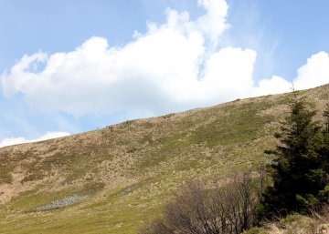 Bieszczady