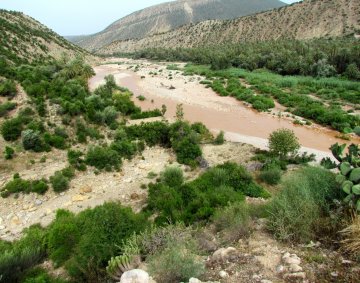 River in the mountains