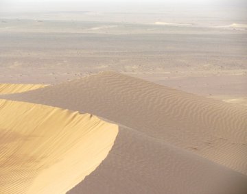 Sahara dunes