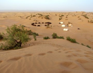 Camp in a desert