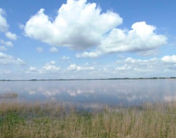 Łuknajno Lake