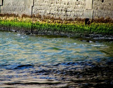 Rainbow in La Seine