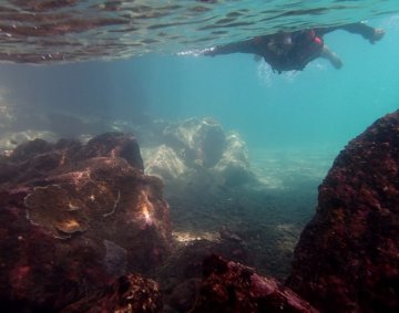 Snorkeling tourist