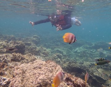 Krakatau snorkeling #8