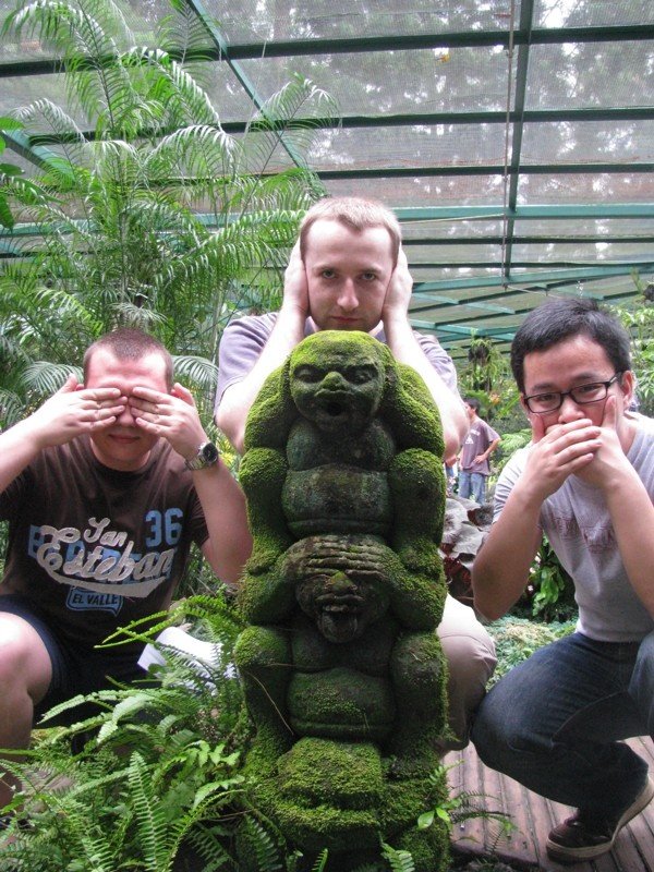 Three monkeys