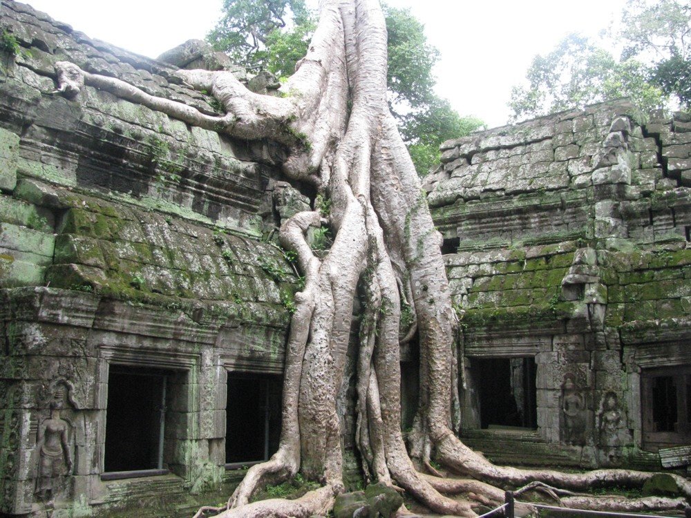 Ta Prohm