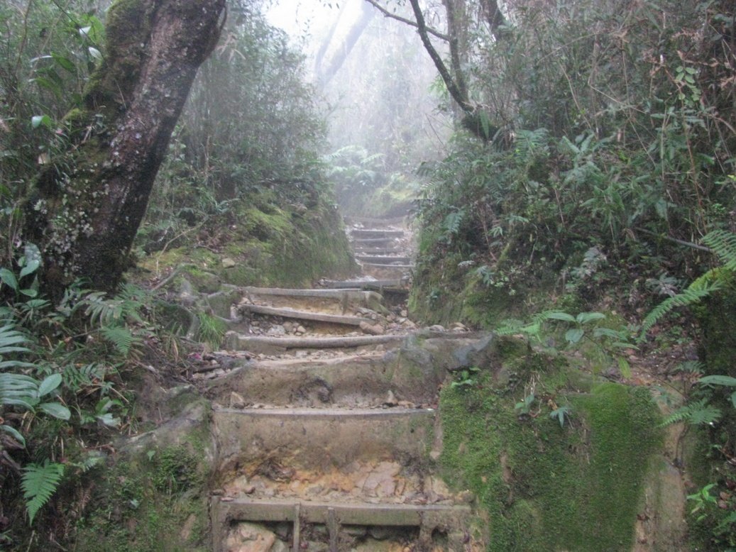 Steep stairs