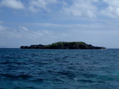 Crocodile Island