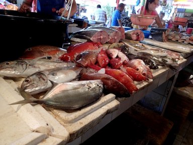 Fish market in Boracay