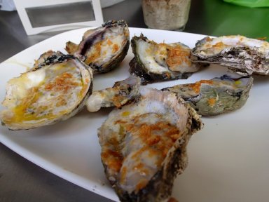 Oysters