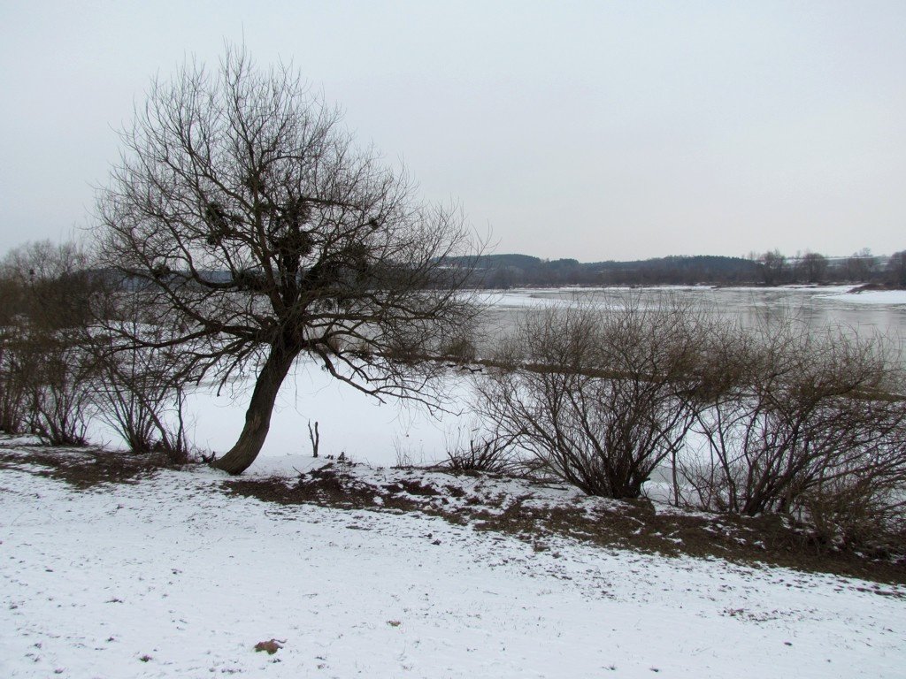 Vistula River