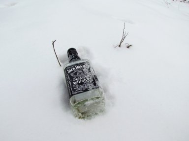 Jack in the snow