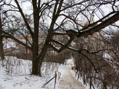 Icy path