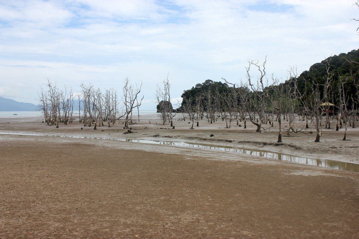 Bako National Park