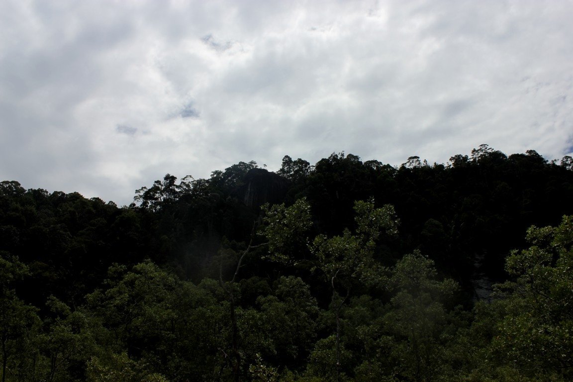 Bako National Park