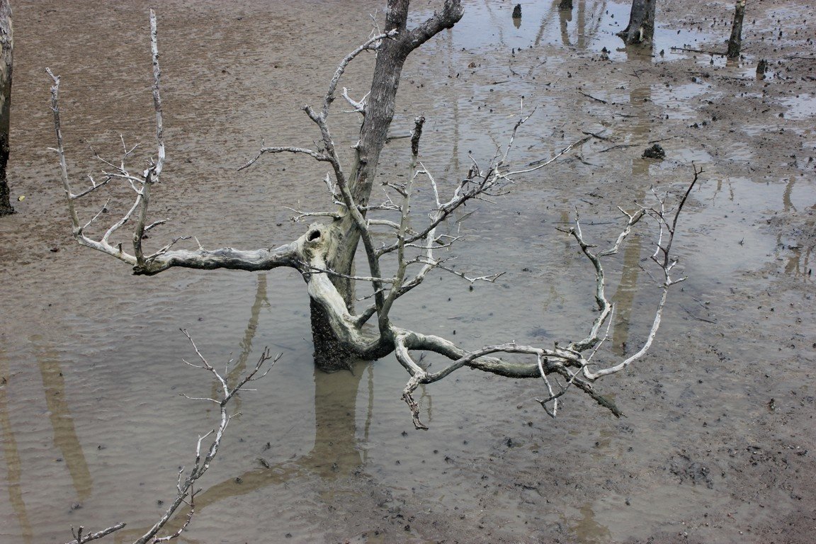 Bako National Park