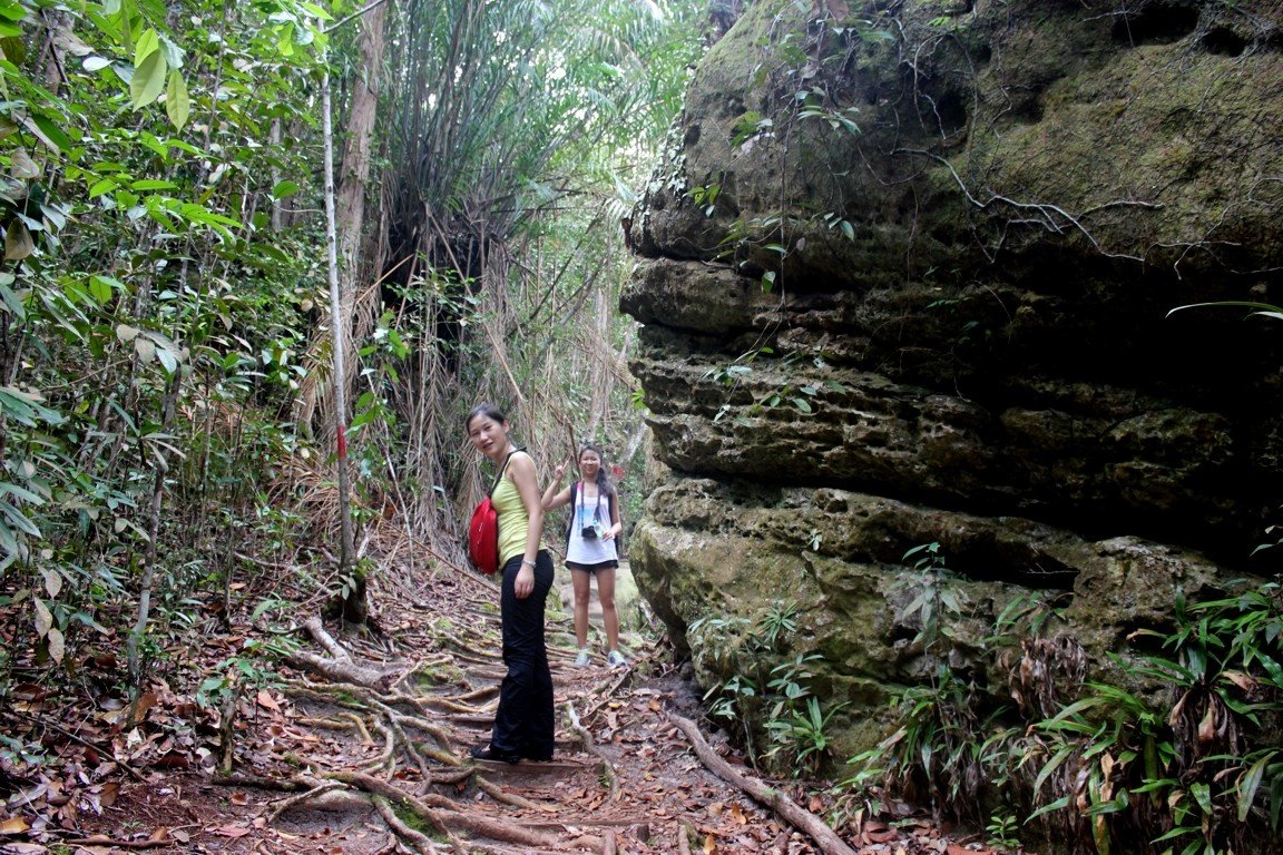 Tourists on a trail