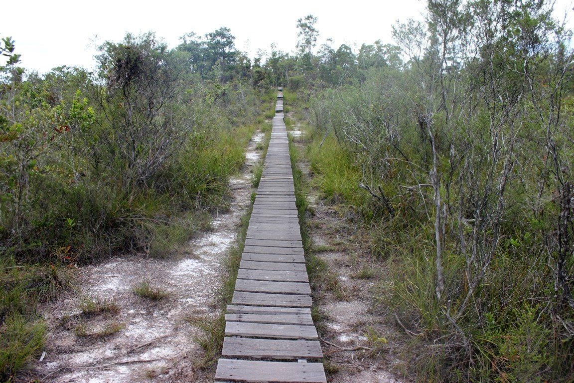 Stairway to heaven?