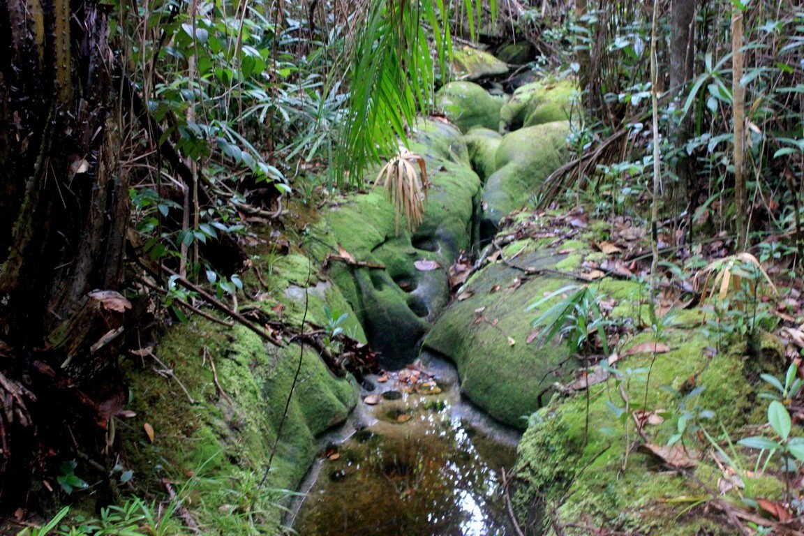 Bako National Park