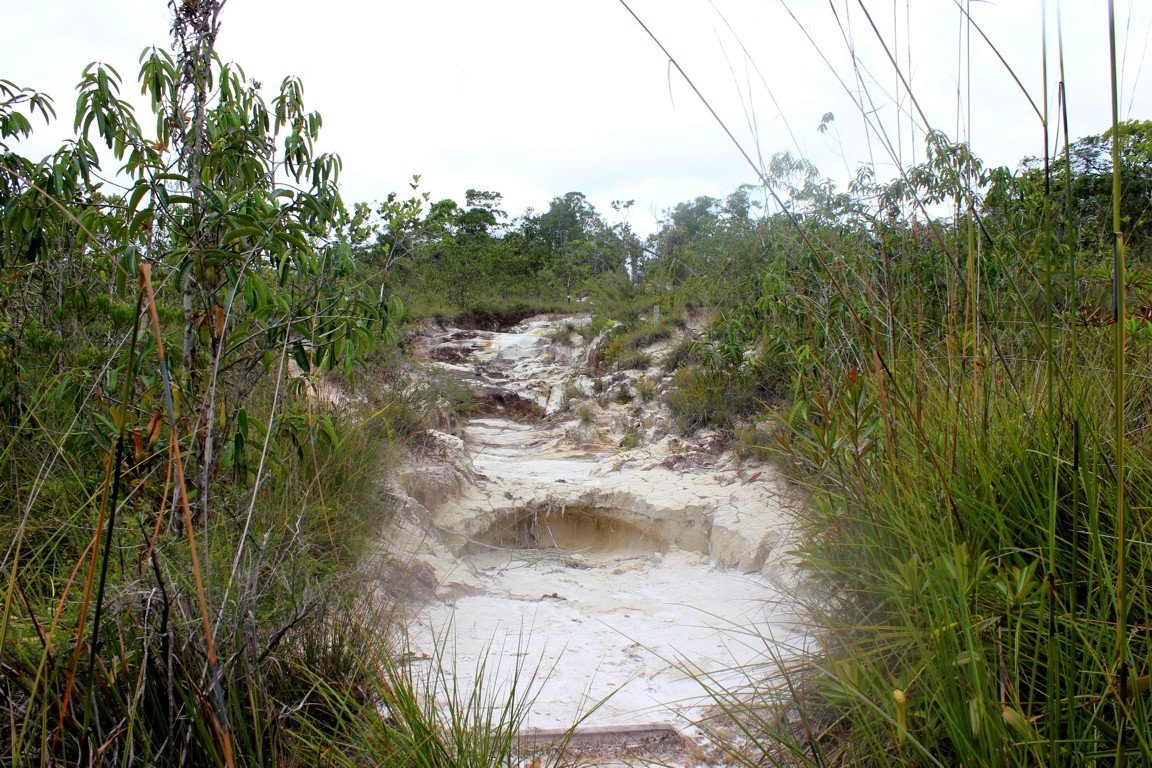 Bako National Park