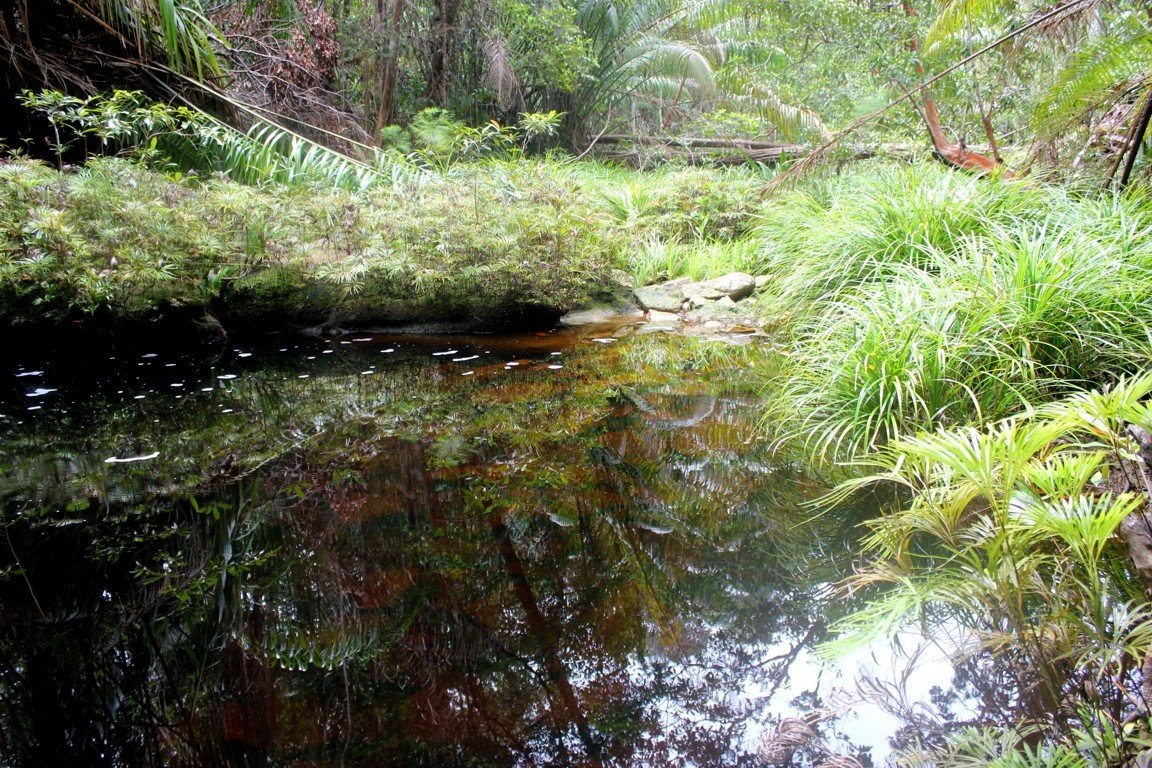 Bako National Park