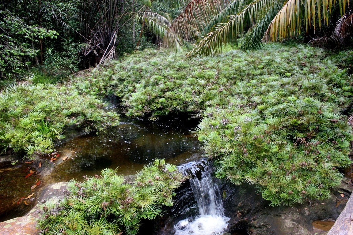 Tajor waterfall