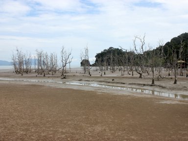 Bako National Park