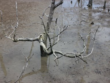 Bako National Park